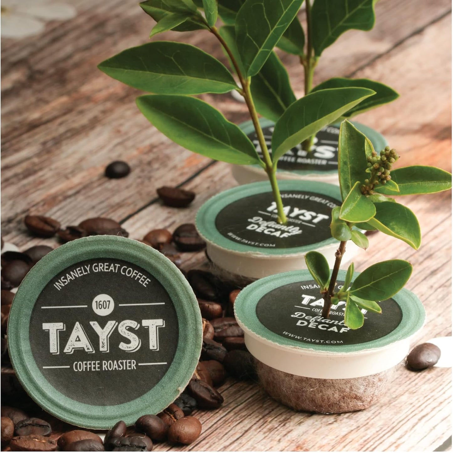Tayst Coffee Pods, Defiantly Decaf Dark Roast, K Cups Compatible with Keurig Coffee Maker, Sustainable Single Serve, Pack of 30