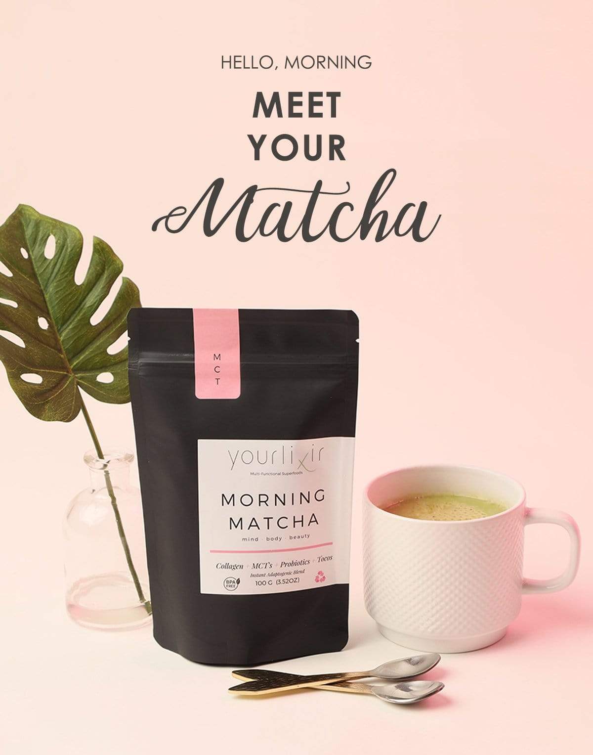 Collagen + Probiotic Functional Matcha Latte