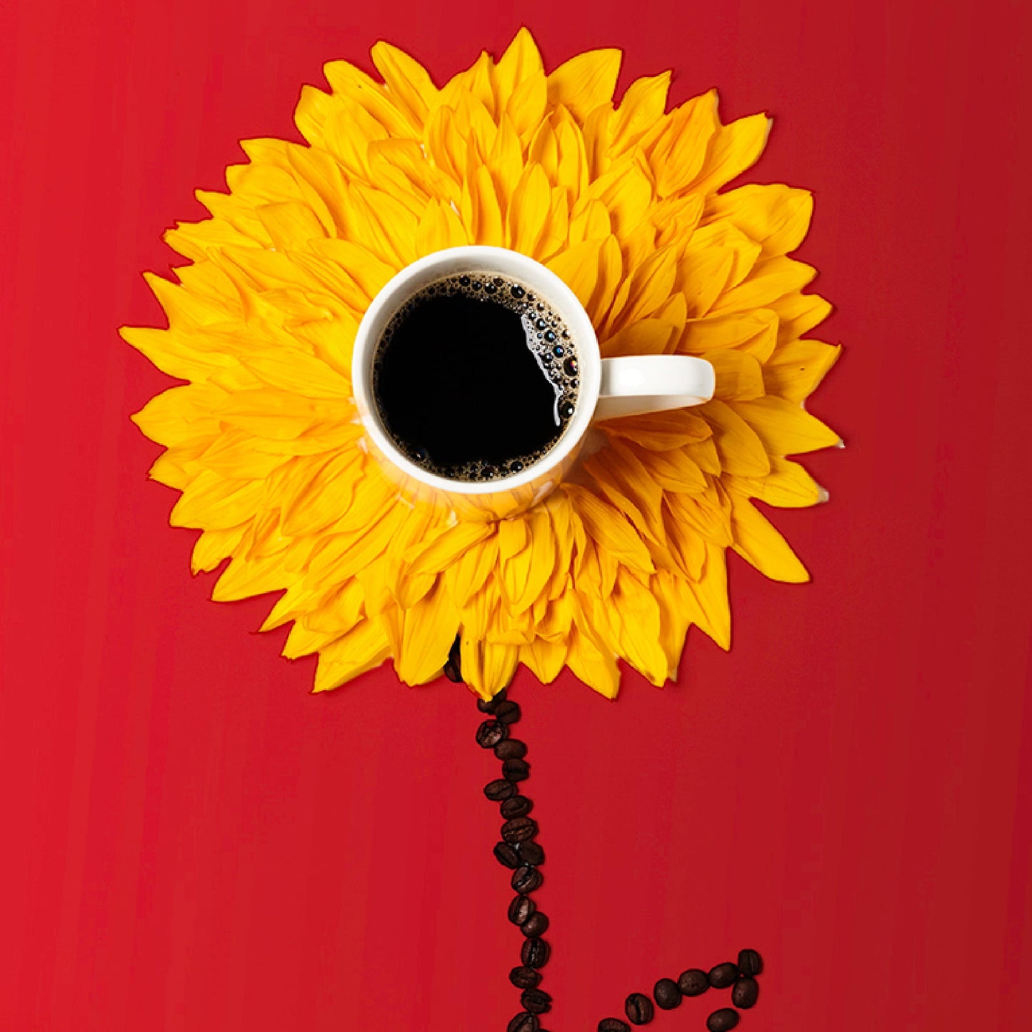 . Coffee 100% Colombian Ground Coffee, Dark Roast, 24 Oz