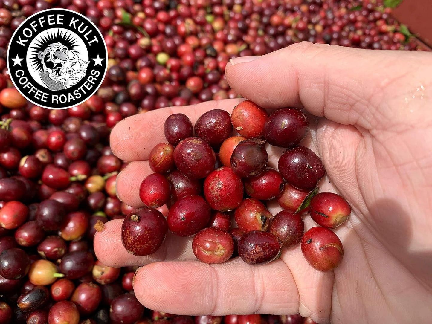Colombian Medium Roast Coffee Ground Beans 100% Single Origin Colombia Arabica Whole Bean (Ground, 12Oz)