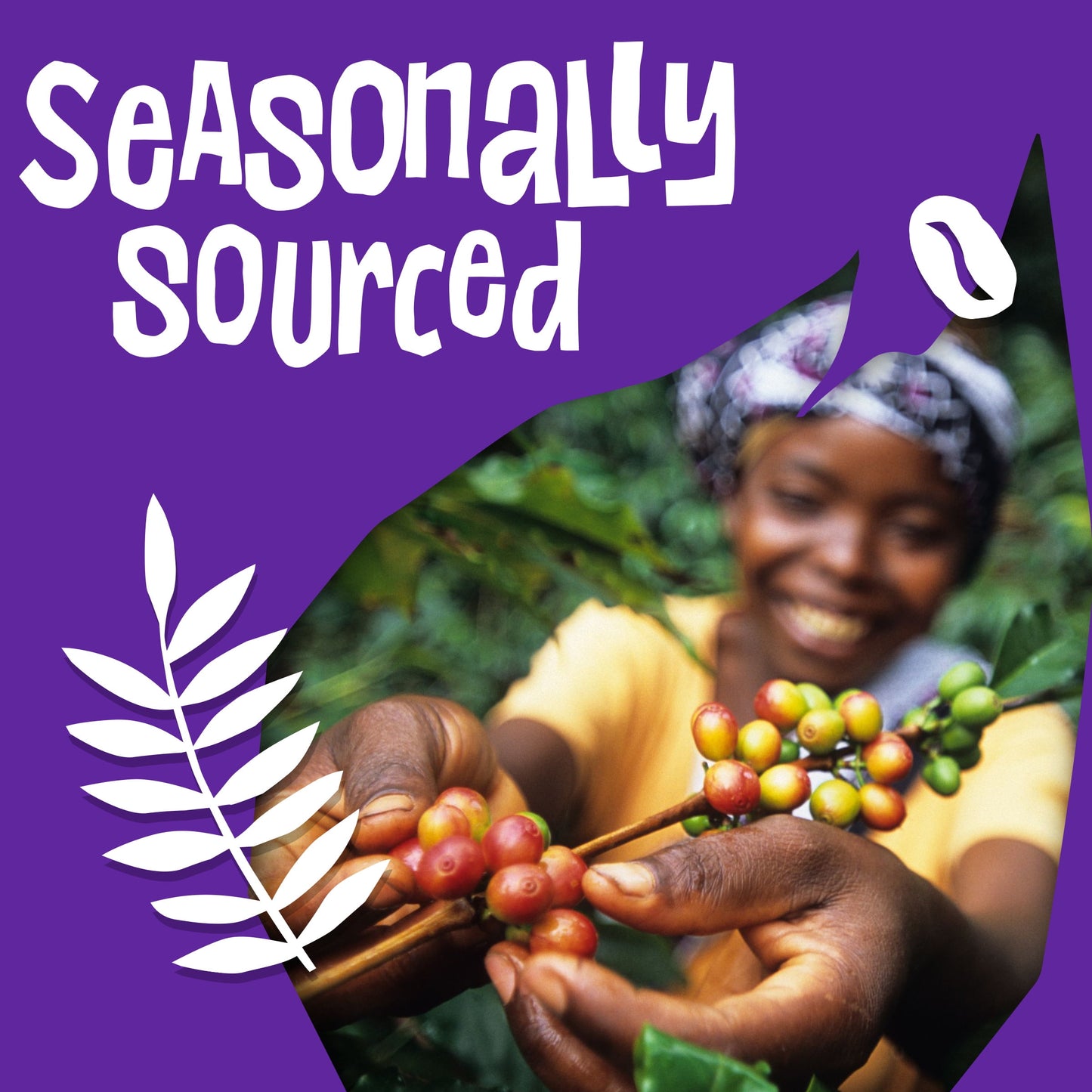 Fair Trade Organic Coffee, Lush Medium Dark Roast, Whole Bean Coffee, 12 Oz. Bag