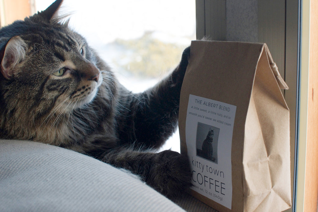 Albert: Super Smooth Breakfast Blend from Brazil and Costa Rica
