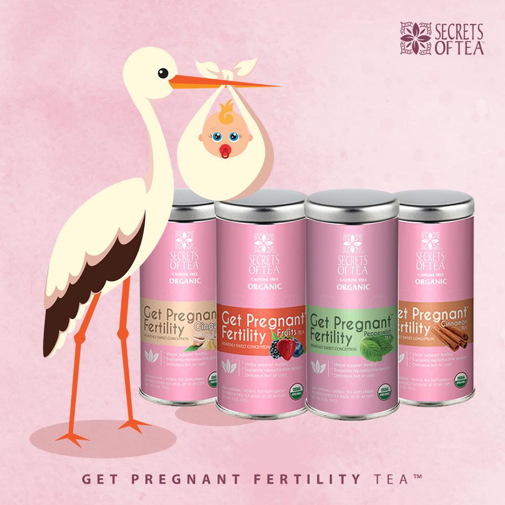Fertility Tea For Women- Fruit- 40 Servings- USDA Organic