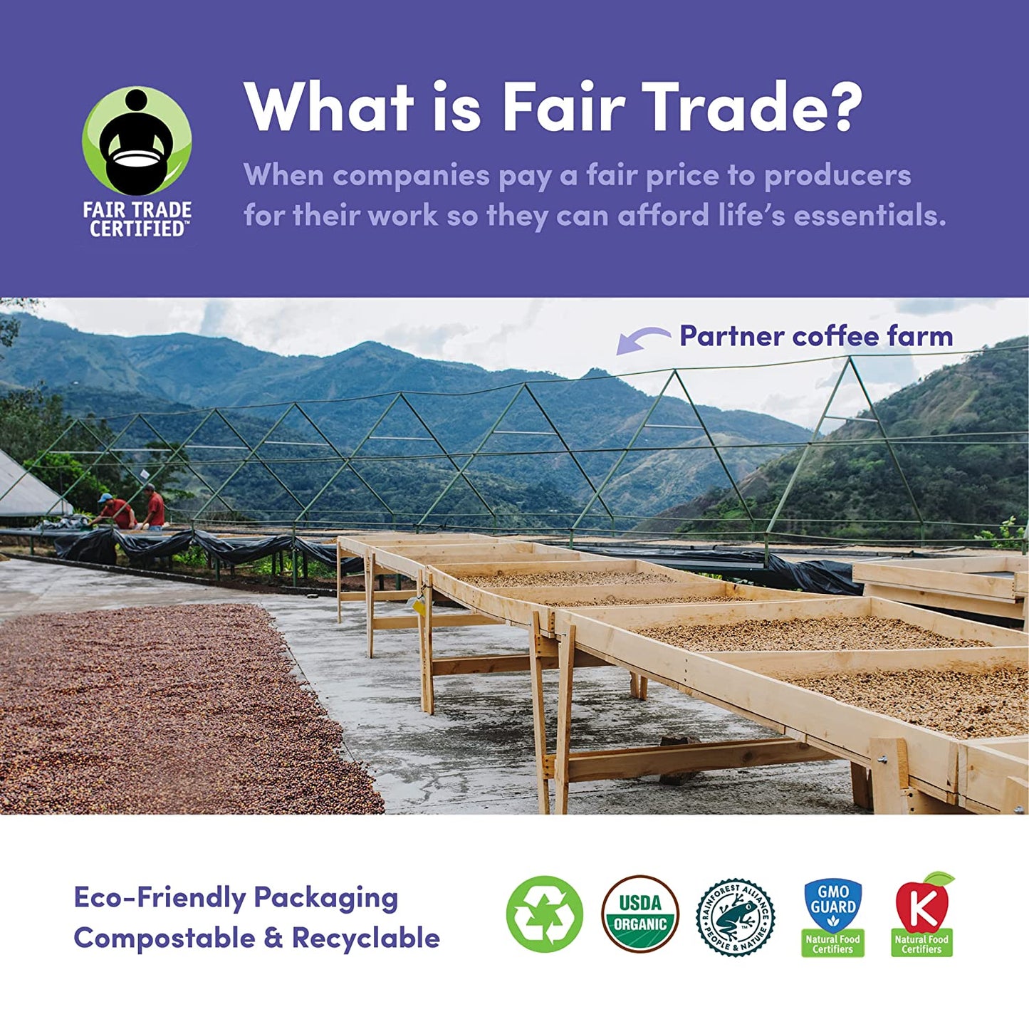Bean & Bean Decaf Single Origin Coffee Beans – Decaf Organic Coffee Beans for Mild, Smooth Coffee - Fair Trade Decaffeinated Whole Bean, 11Oz