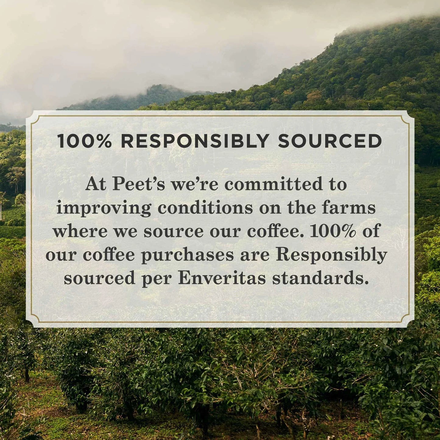 French Roast Ground Coffee, Premium Dark Roast, 100% Arabica, 10.5 Oz