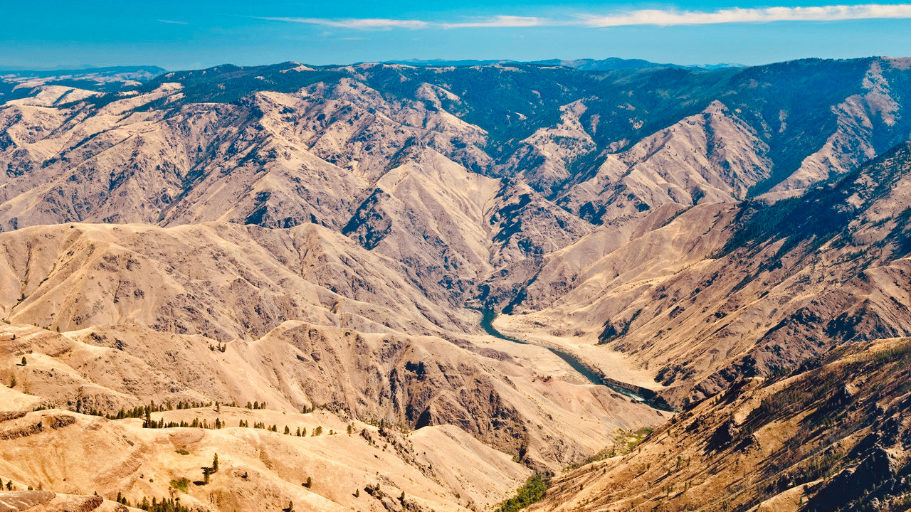 Hells Canyon | Ethiopia | Medium Roast