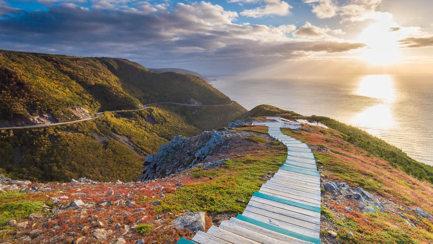 Cabot Trail | Colombia | Dark Roast