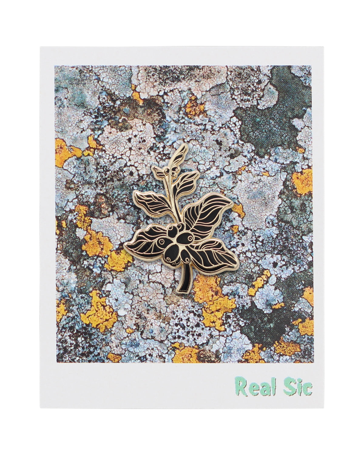 Coffee Berry – Coffee Branch Lapel Pin Enamel Pin