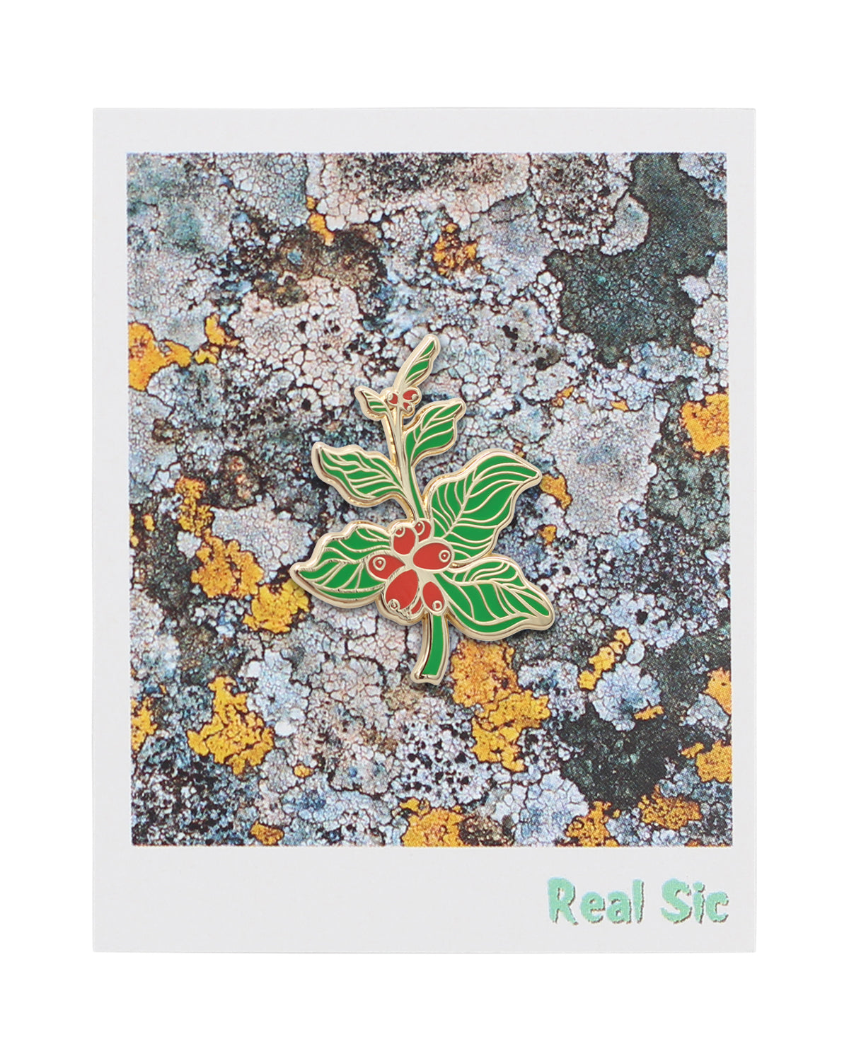 Coffee Berry – Coffee Branch Lapel Pin Enamel Pin