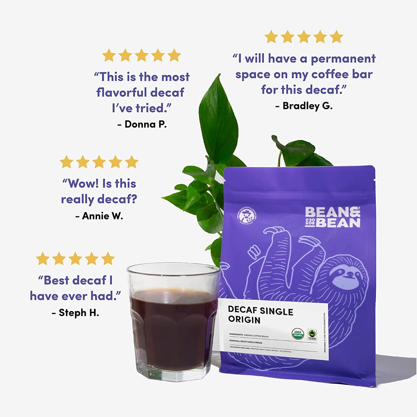 Bean & Bean Decaf Single Origin Coffee Beans – Decaf Organic Coffee Beans for Mild, Smooth Coffee - Fair Trade Decaffeinated Whole Bean, 11Oz