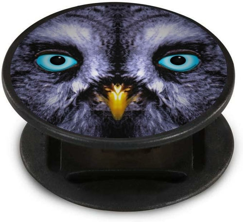 Owl Gaze Nuckees